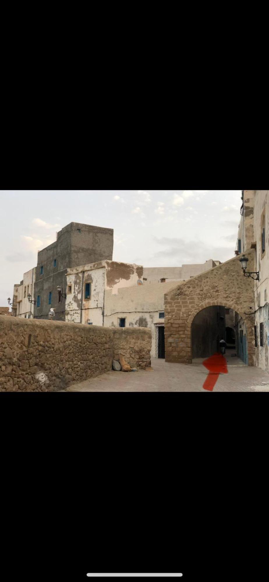 Dar Dada La Totalite Du Riad A Votre Disposition Et De Facon Exclusive Safi Exteriör bild